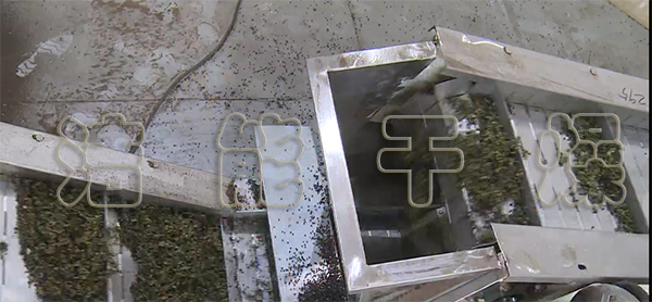 全自動花椒烘干機